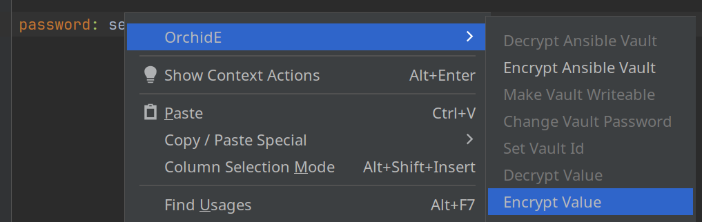 Encrypt variable value